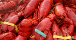 Oysters, crab and $400,000 worth of lobster meat stolen in New England