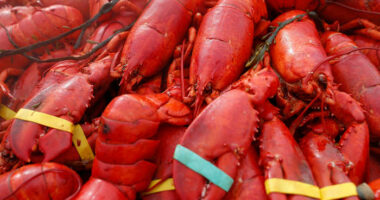 Oysters, crab and $400,000 worth of lobster meat stolen in New England