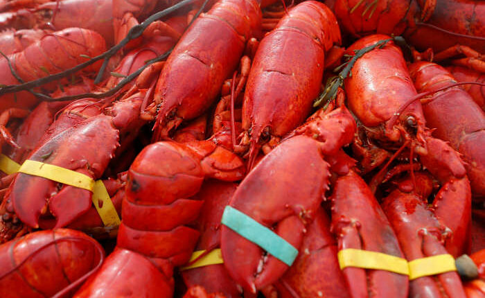 Oysters, crab and $400,000 worth of lobster meat stolen in New England