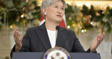 PVO: Sanctimonious Penny Wong's weasel words on Bondi are hard to bear