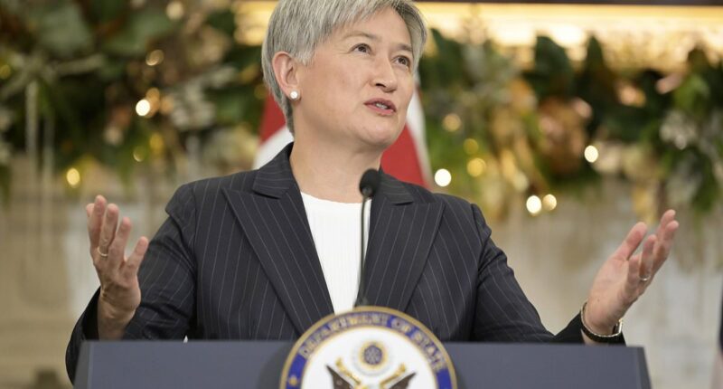 PVO: Sanctimonious Penny Wong's weasel words on Bondi are hard to bear