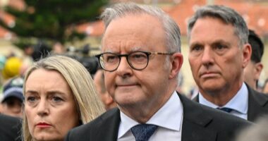 PVO: We're sending Albo a message after Bondi. He's just not listening