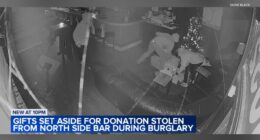 Patrons of Olive Black, Chicago bar near Lincoln and Southport, replace 'giving tree' presents stolen in burglary caught on camera