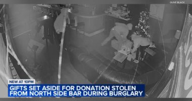 Patrons of Olive Black, Chicago bar near Lincoln and Southport, replace 'giving tree' presents stolen in burglary caught on camera