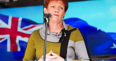 Pauline Hanson climbs the popularity charts in shock new poll