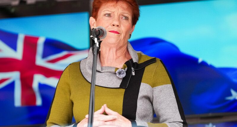 Pauline Hanson climbs the popularity charts in shock new poll