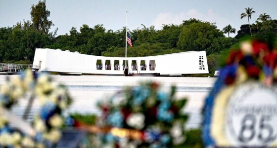 after-82-years-dna-analysis-unveils-identity-of-teen-sailor