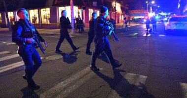 Person of interest arrested in Brown University mass shooting