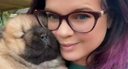 Perth family offers reward for rare, valuable dog feared stolen