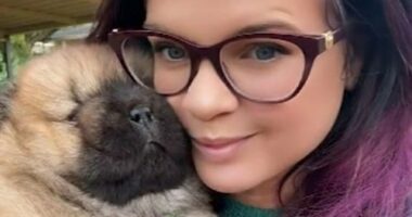 Perth family offers reward for rare, valuable dog feared stolen