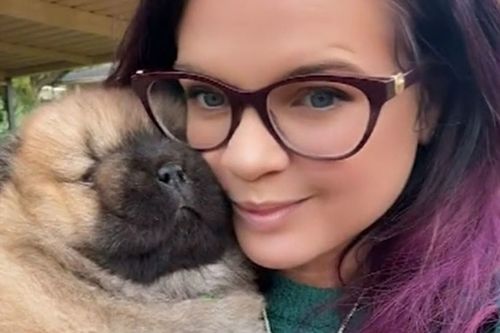 Perth family offers reward for rare, valuable dog feared stolen