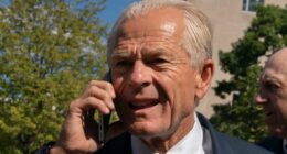 Peter Navarro tries once more to undo contempt convictions