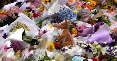 Bondi Beach shootings