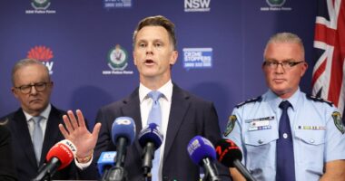 Police: Bondi Beach shooting suspects had bombs, ISIS flags and recently traveled to Philippines