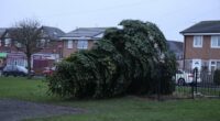 Police issue image of man after village Christmas tree chopped down