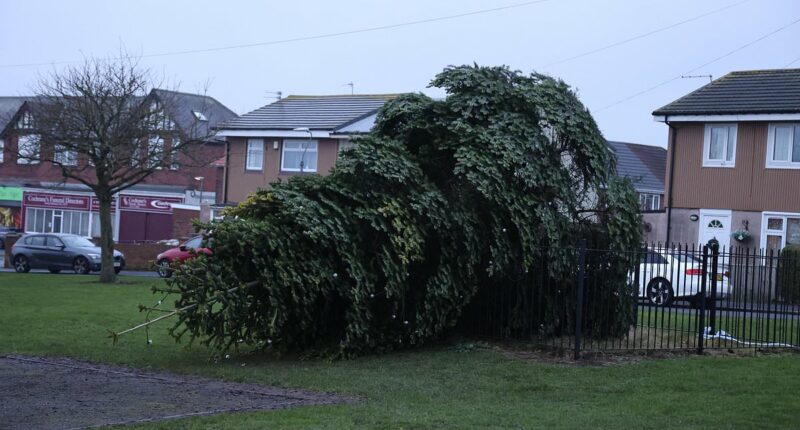Police issue image of man after village Christmas tree chopped down