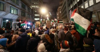 Police make first arrests for intifada calls at pro-Palestine demo