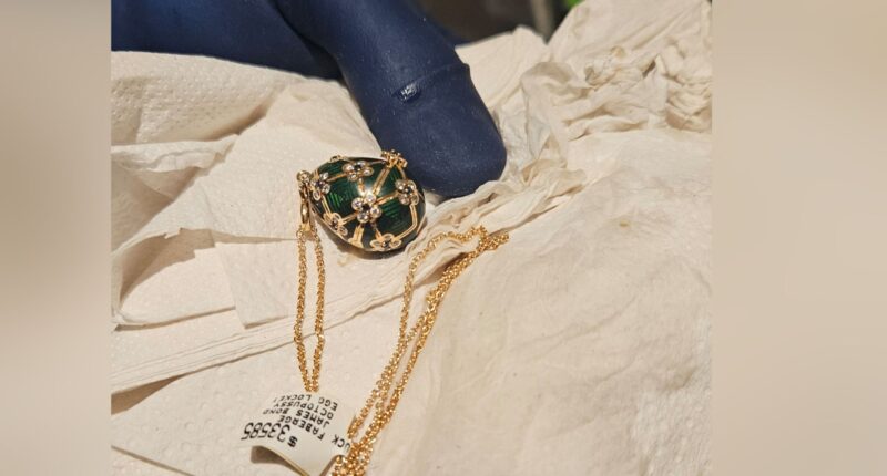 Police recover a swallowed Fabergé pendant after a 6-day wait for it to reappear