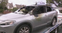 St Kilda East car firebombing