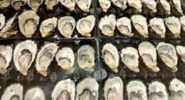 Police warn of dangers of cheap oysters after spate of thefts