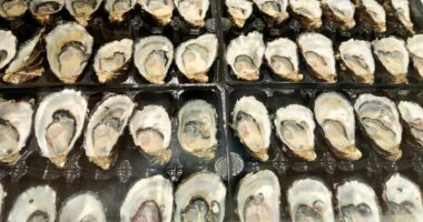 Police warn of dangers of cheap oysters after spate of thefts