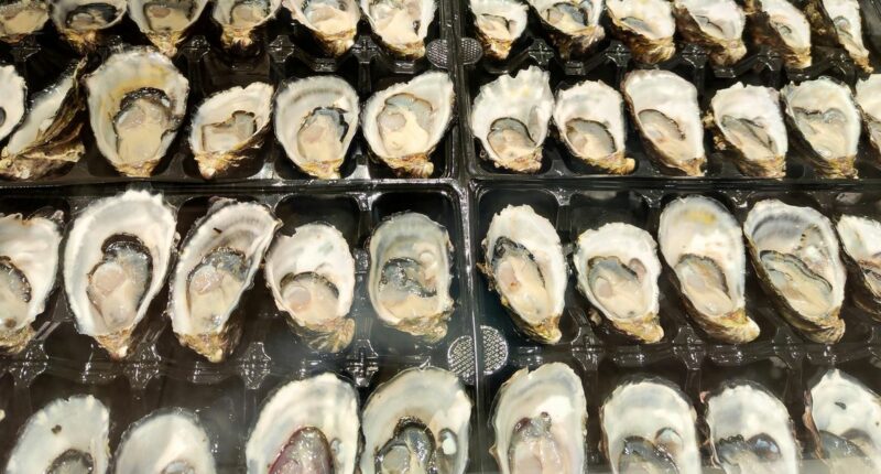Police warn of dangers of cheap oysters after spate of thefts
