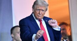 Poll: Trump gets approval rating boost as game-changing price drop kicks in