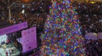 Portland sparks fury for woke Christmas tree name