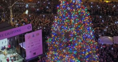 Portland sparks fury for woke Christmas tree name