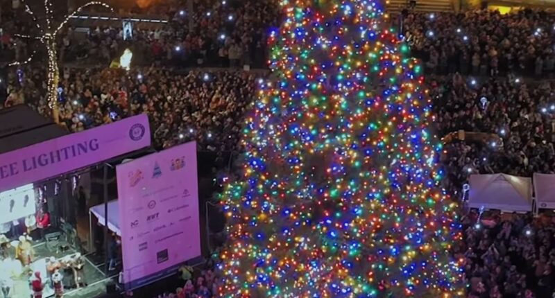 Portland sparks fury for woke Christmas tree name