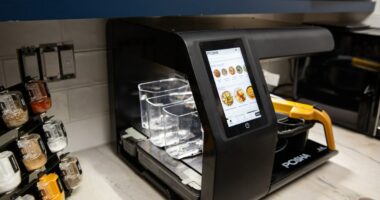 Posha review: this robot chef cooks better than me