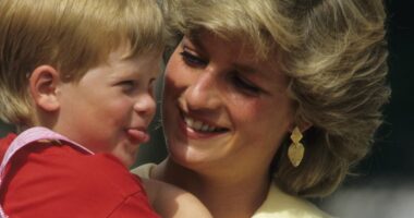 Prince Harry's memories of Princess Diana came flooding back after 'months' of therapy - as royal recalled 'jumping up and down' on his mother's waterbed when he was a child