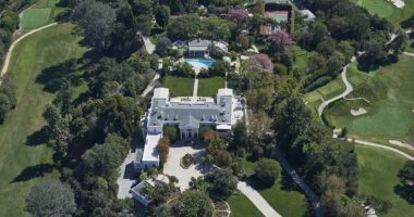 REVEALED: Spending habits of LA's richest billionaire who died broke