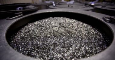 Rare earth magnet makers relish a moment in the sun