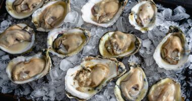 Raw oysters linked to a multistate salmonella outbreak that has sickened 64 people