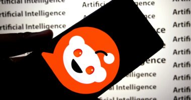 Reddit files legal challenge to Australia’s under-16 social media ban