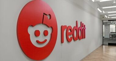The Reddit logo in the tech giant's office.