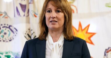 Reeves raked in £5.5bn more tax in November BEFORE the Budget raid