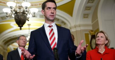 Republican senator describes the FOUR 'righteous' strikes that wiped out alleged drug smugglers