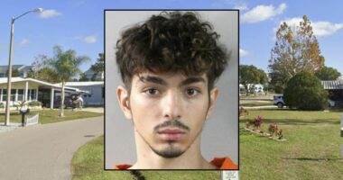 Retired nurse found 'disemboweled' after evicting teen: Cops