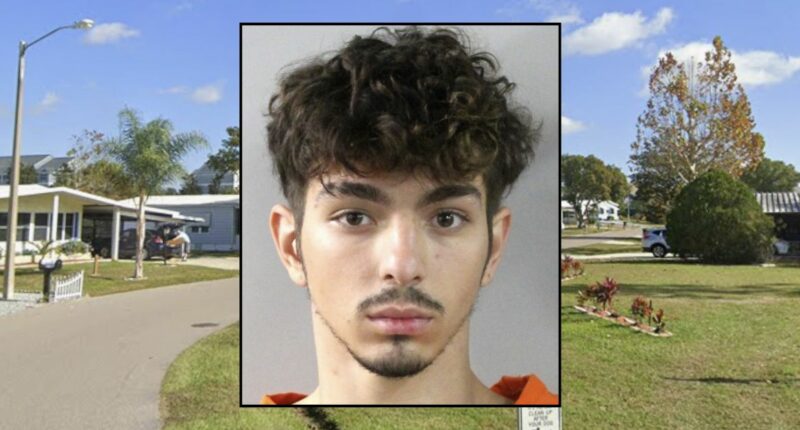 Retired nurse found 'disemboweled' after evicting teen: Cops