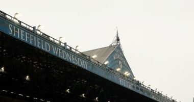 Revealed: The three parties who have submitted bids to buy Championship crisis club Sheffield Wednesday