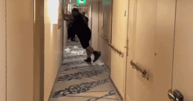 Royal Caribbean sued over cruise passenger’s death as ship rules prove ‘fast and loose’: expert