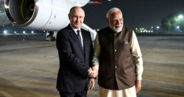 Russia willing to supply uninterrupted fuel to India, says Putin