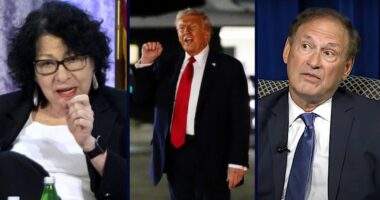 SCOTUS grills lawyer on how far Trump's firing powers may go