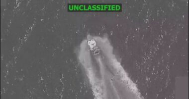 SOUTHCOM says 8 narco-terrorists killed in latest Eastern Pacific lethal kinetic strikes