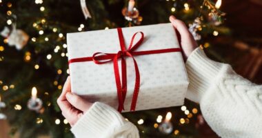 Sanctuary Spa set hailed 'perfect Christmas present' will arrive before the big day