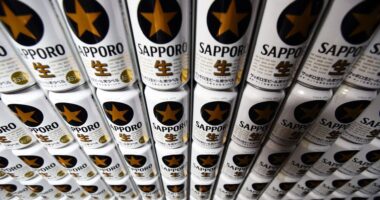 Sapporo to sell real estate business for $3 billion to KKR and PAG