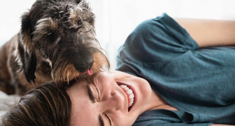 Scientists claim being licked by dogs has incredible health benefits