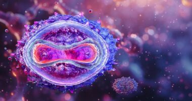 Scientists detect 'new strain' of serious virus in England and WHO updated